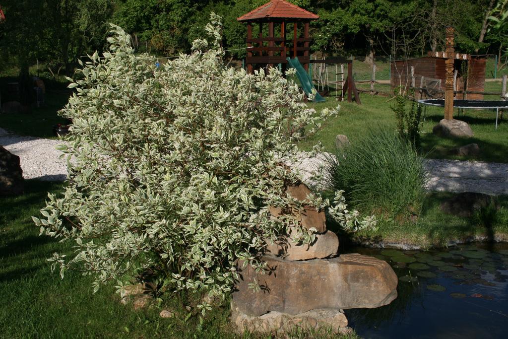 Malomdulo Farmhaz ξενώνας Pilisborosjenő Εξωτερικό φωτογραφία